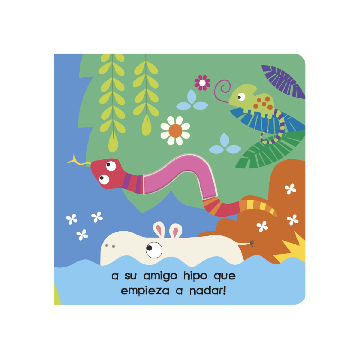 Mira Y Descubre Flamencos