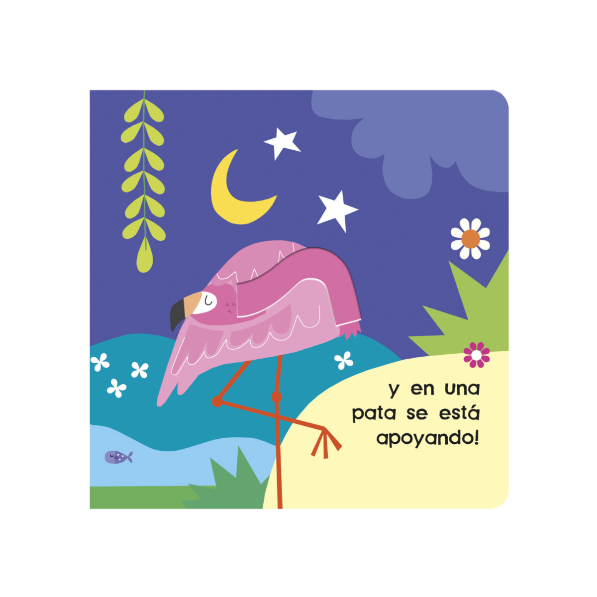 Mira Y Descubre Flamencos