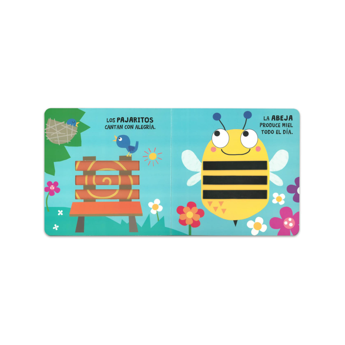 Mira y Descubre El Jardín