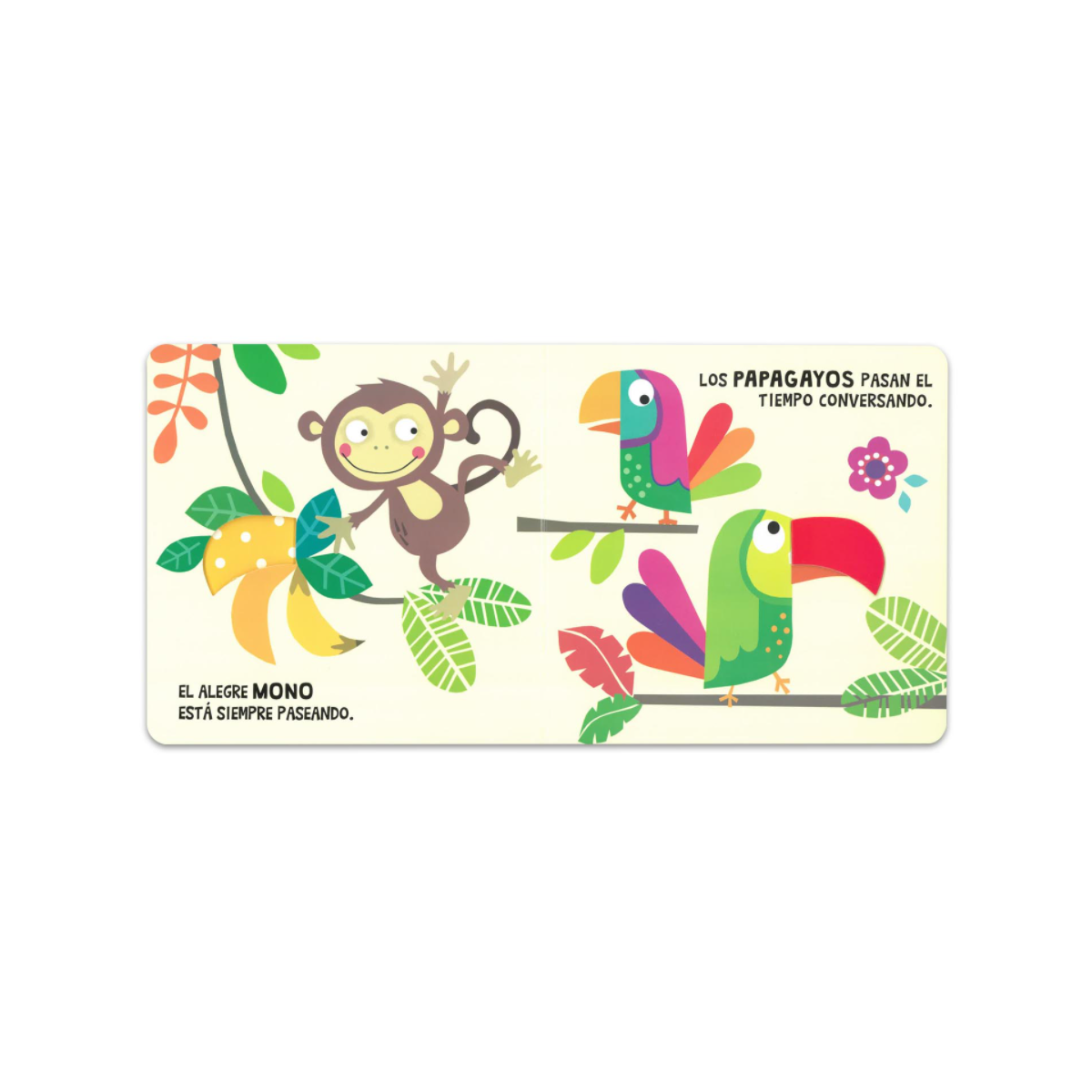 Mira y Descubre La Selva