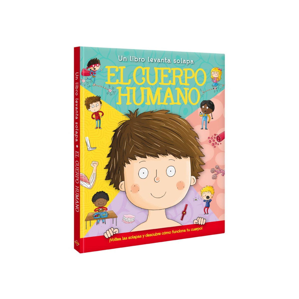 El Cuerpo Humano - Armadura Natural