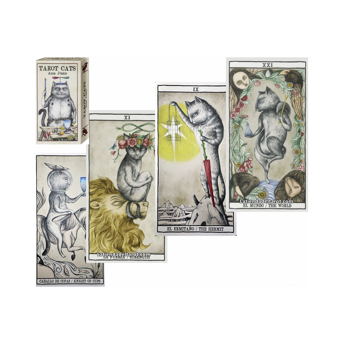 Tarot Cats