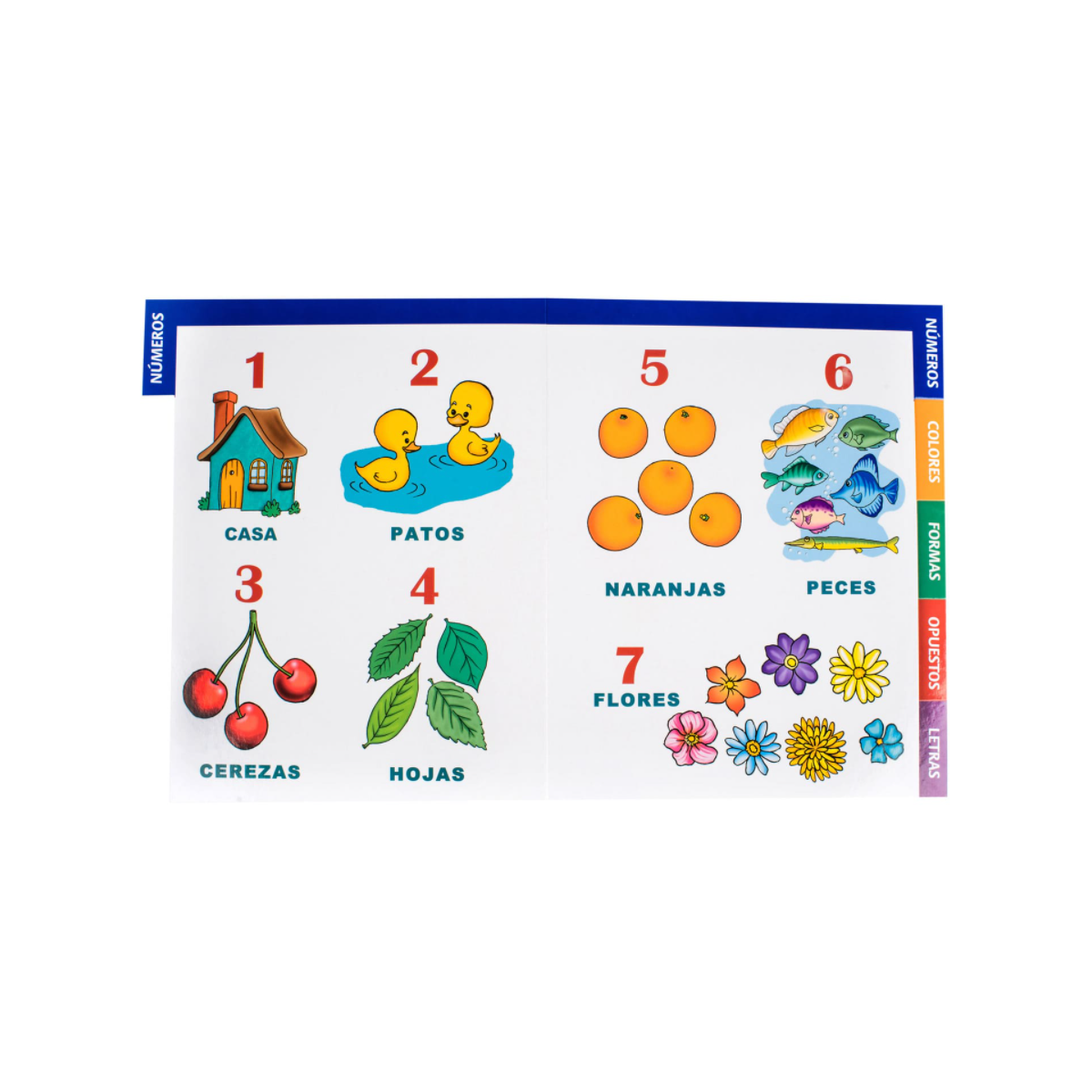 Mi Primer Libro