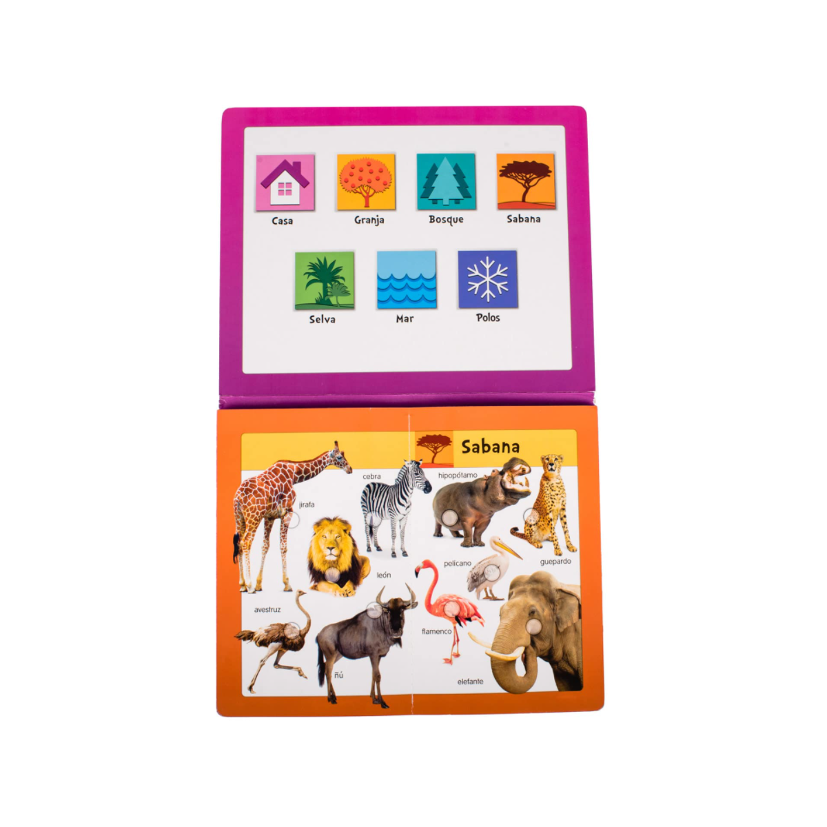 Baby Pad Animales