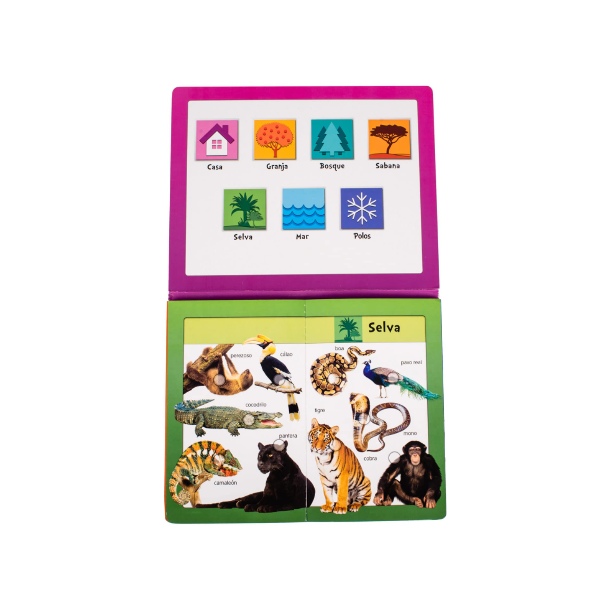 Baby Pad Animales
