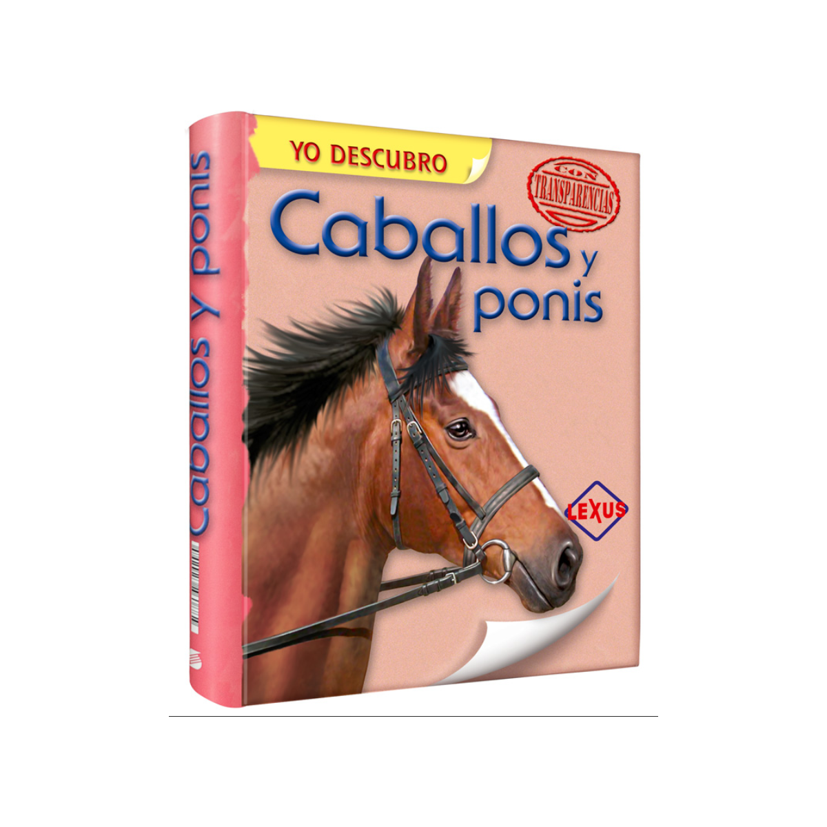 Libro Caballos Y Ponis