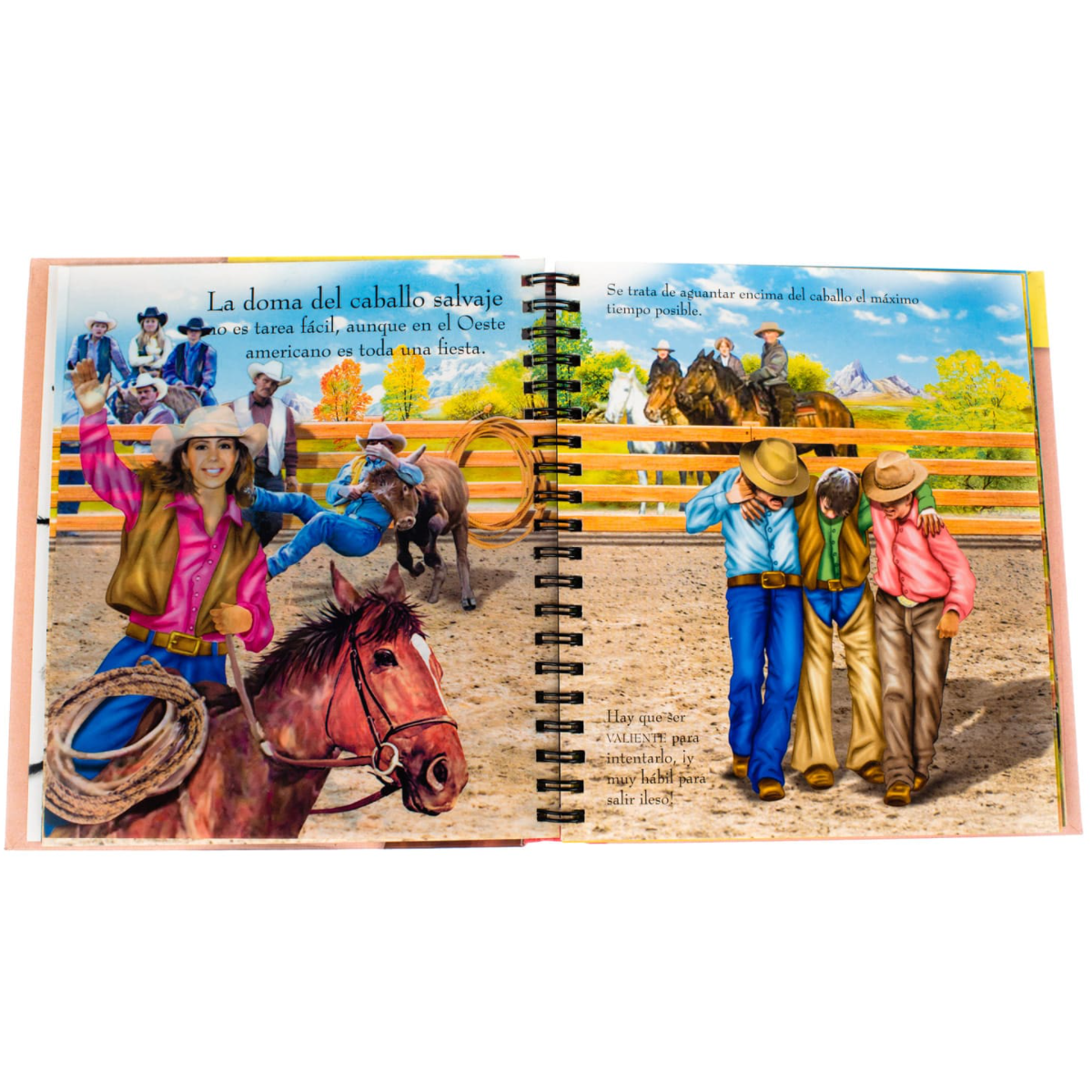 Libro Caballos Y Ponis
