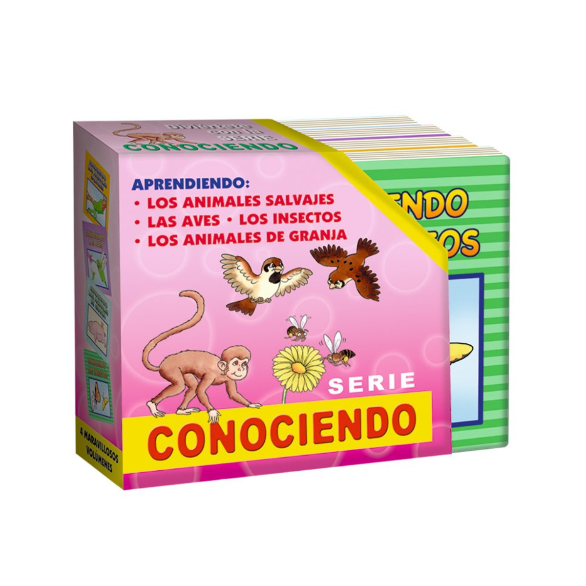 Serie Conociendo