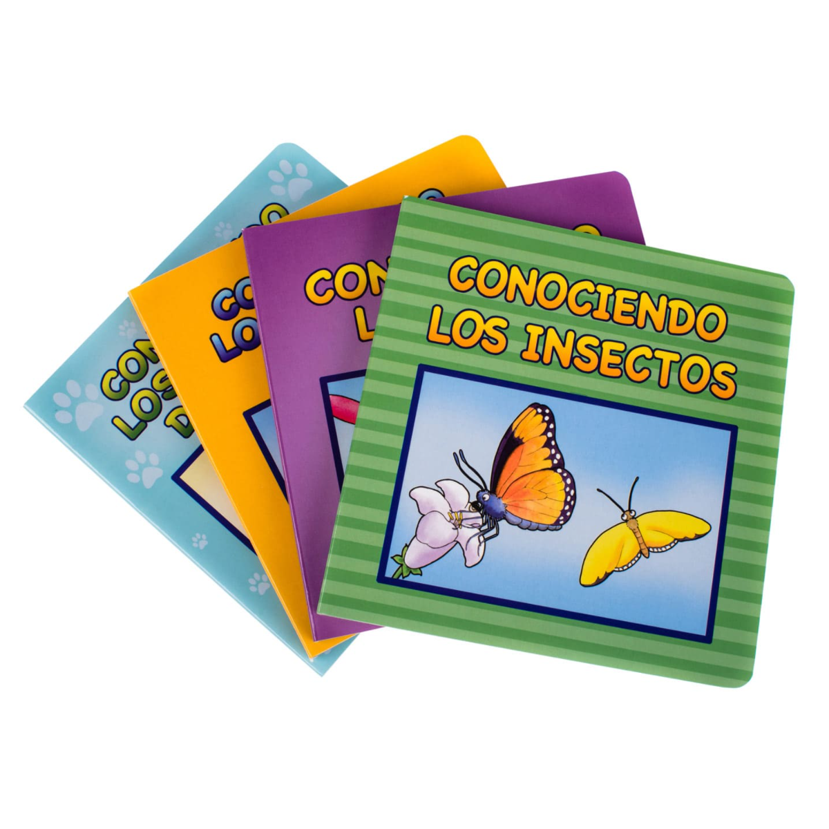 Serie Conociendo