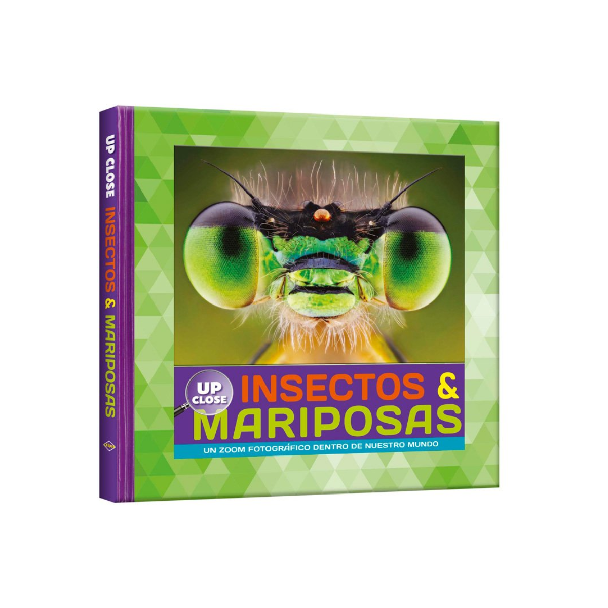 Insectos & Mariposas