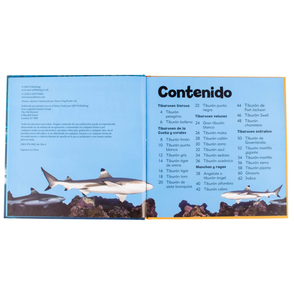 Mi Pequeño Libro de Tiburones