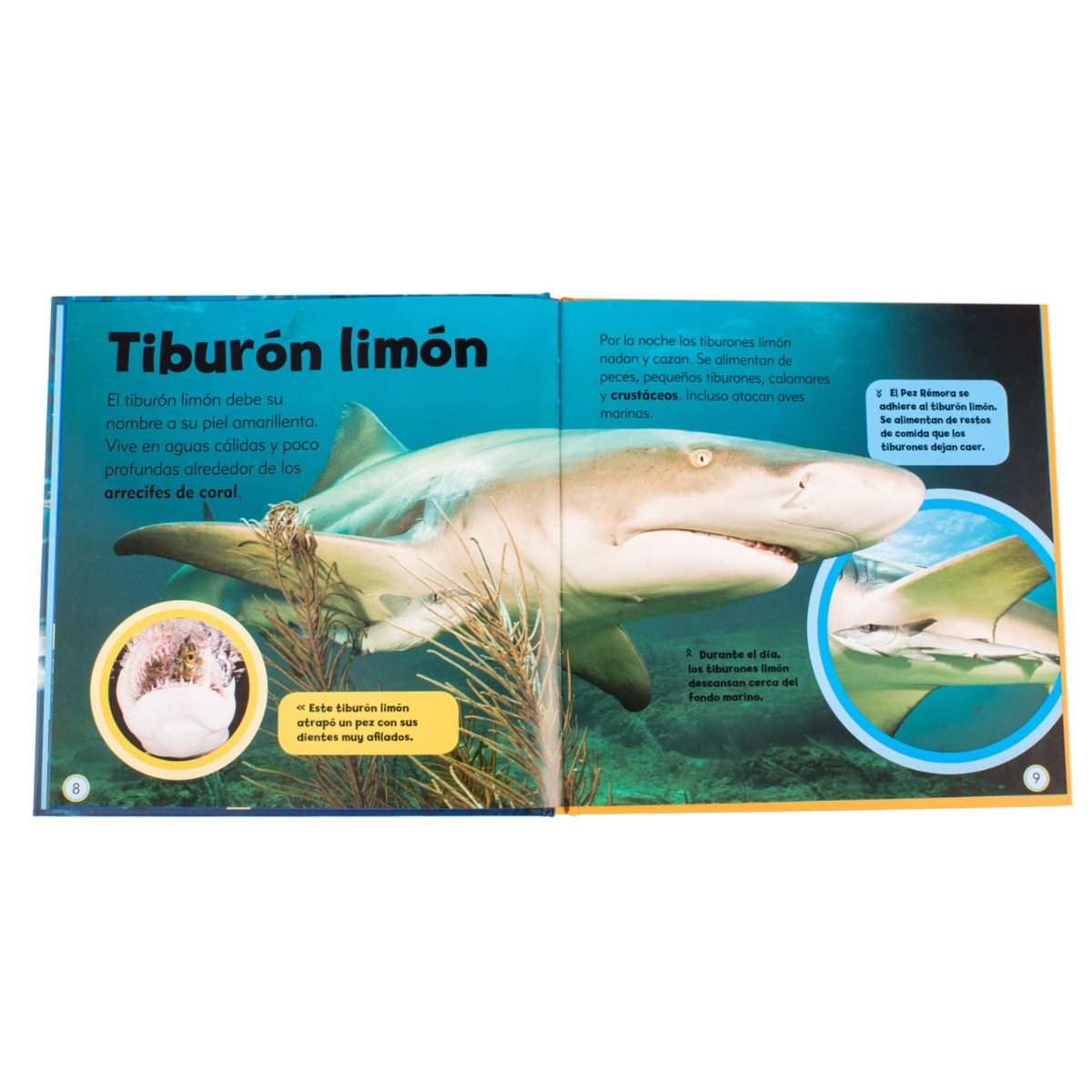Mi Pequeño Libro de Tiburones