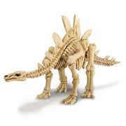 Excava tu Esqueleto De Stegosaurus- Kidz Labs