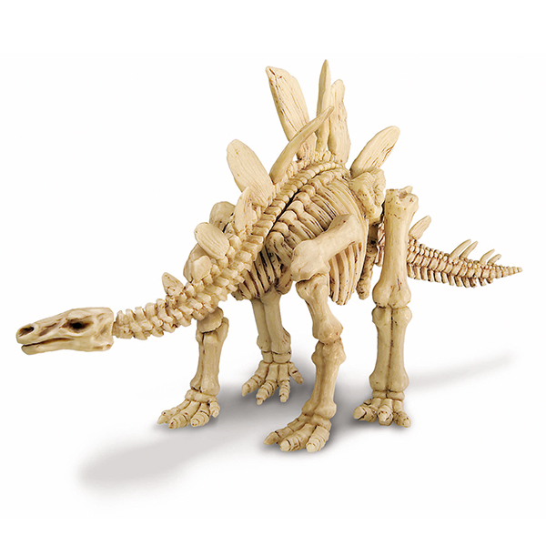 Excava tu Esqueleto De Stegosaurus- Kidz Labs