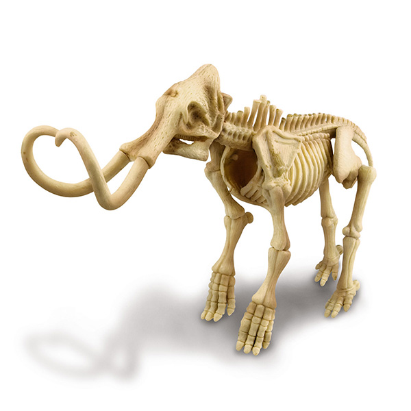 Cavar Un Esqueleto De Mamut Juego Cientifico- Kidz Labs