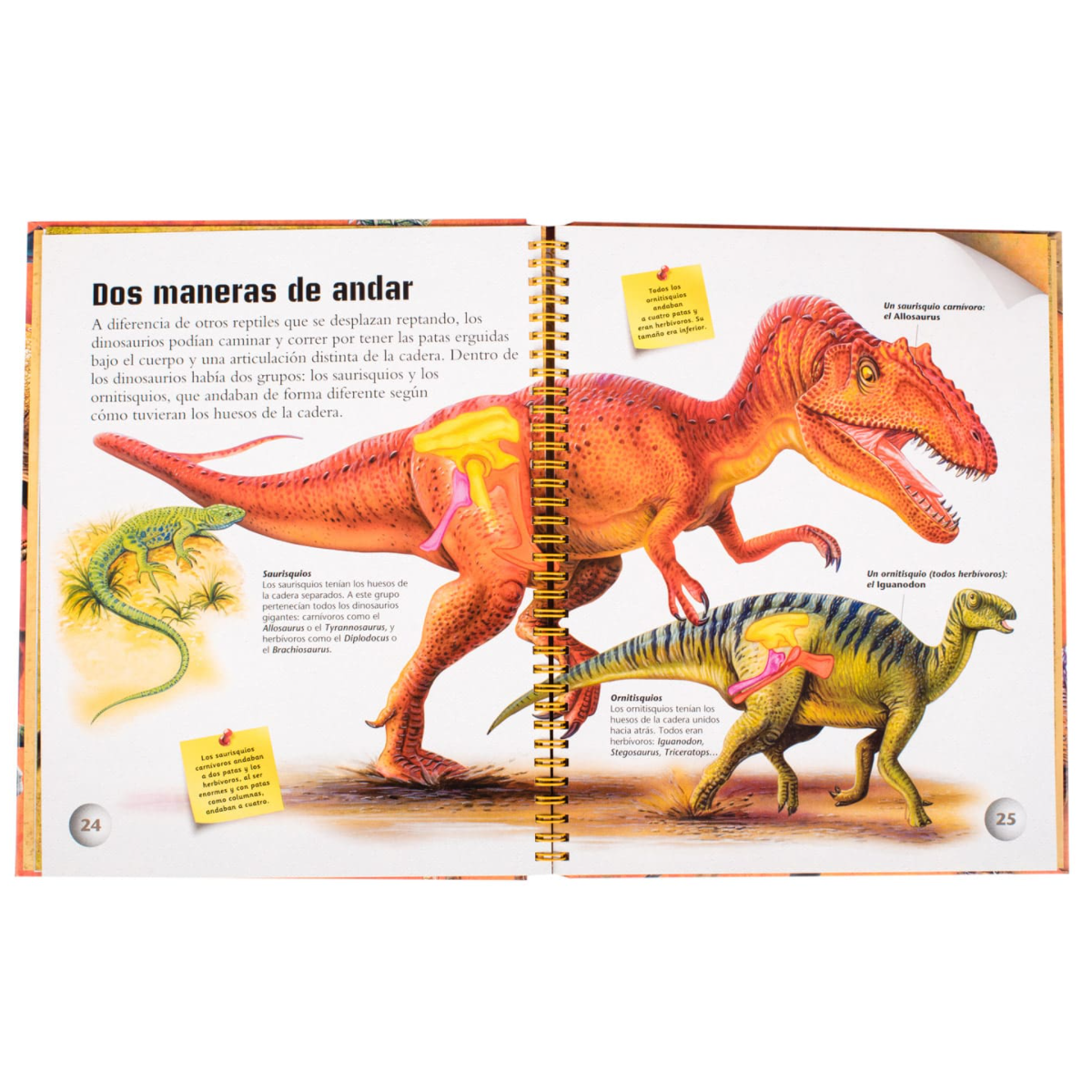 El Mundo de los Dinosaurios