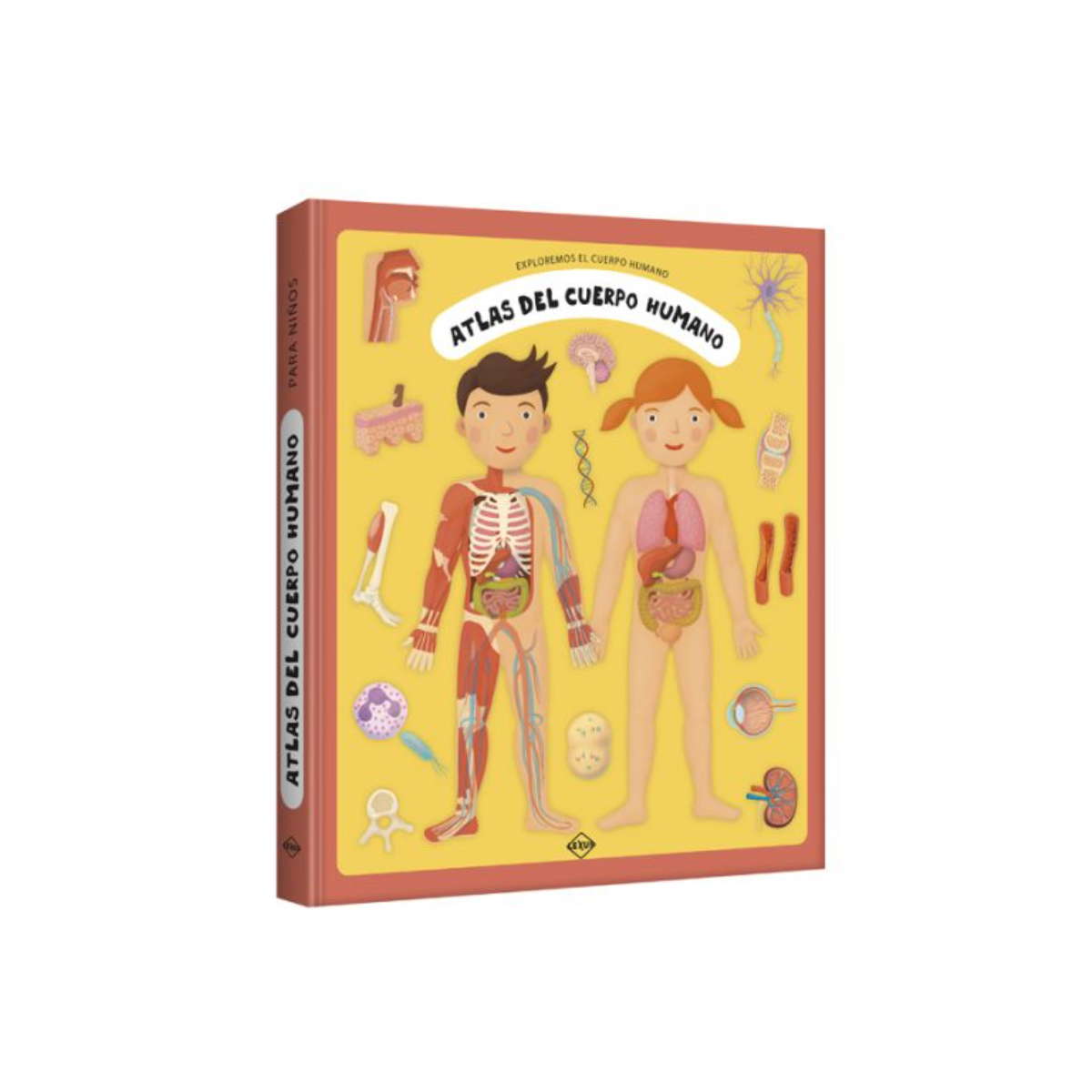 Atlas Del Cuerpo Humano