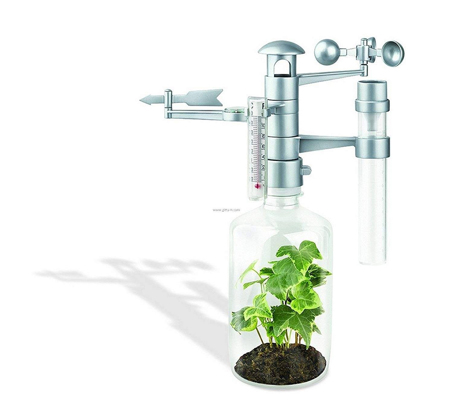 Kit Infantil Estacion Meteorologica- Ciencia Verde