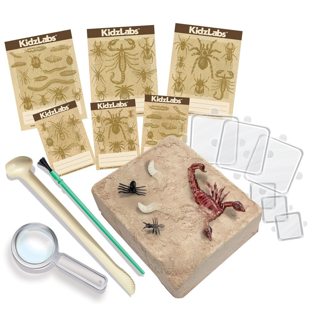 Kit de Excavacion de Bichos - Kidz Labs 4m