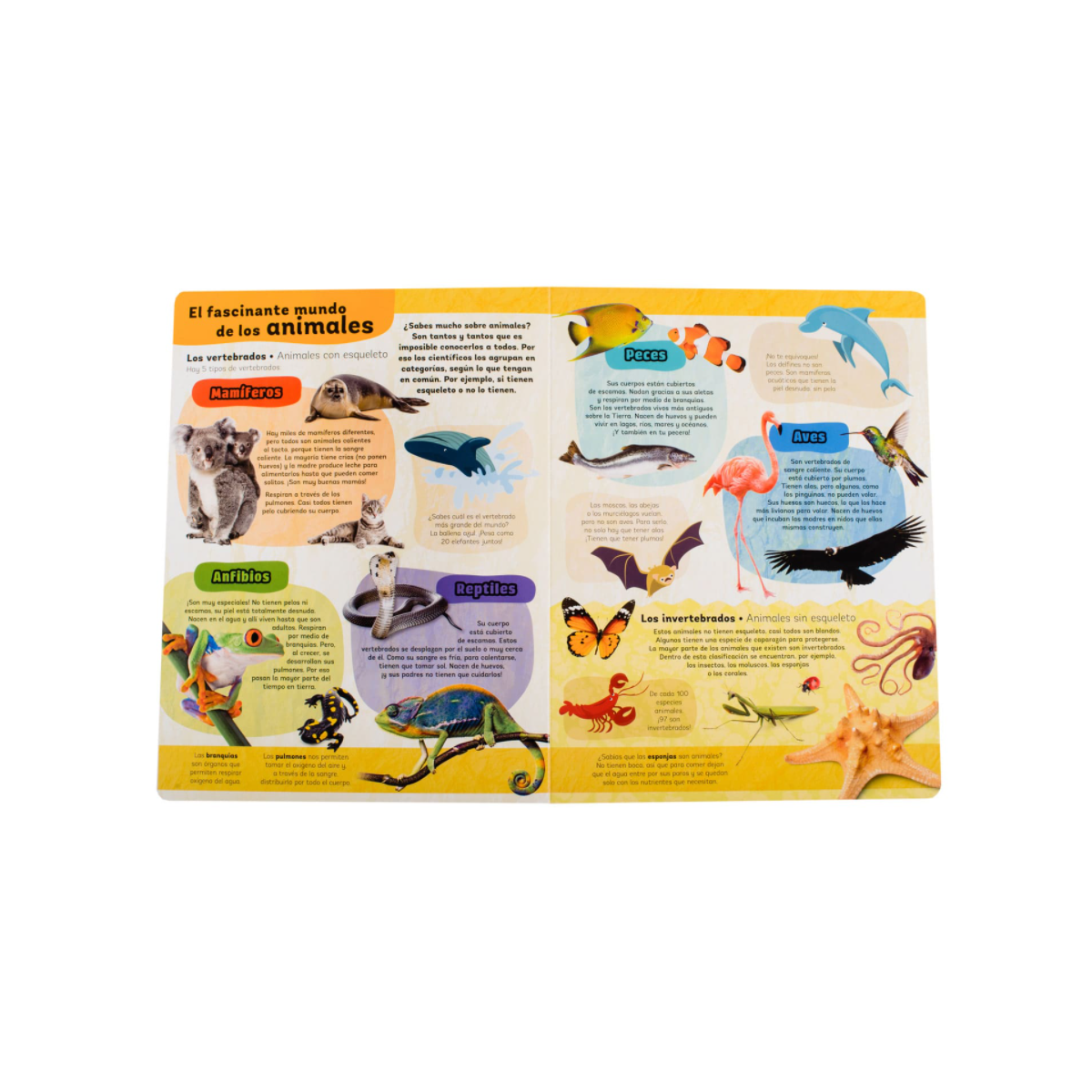 Mi Gran Libro de Animales