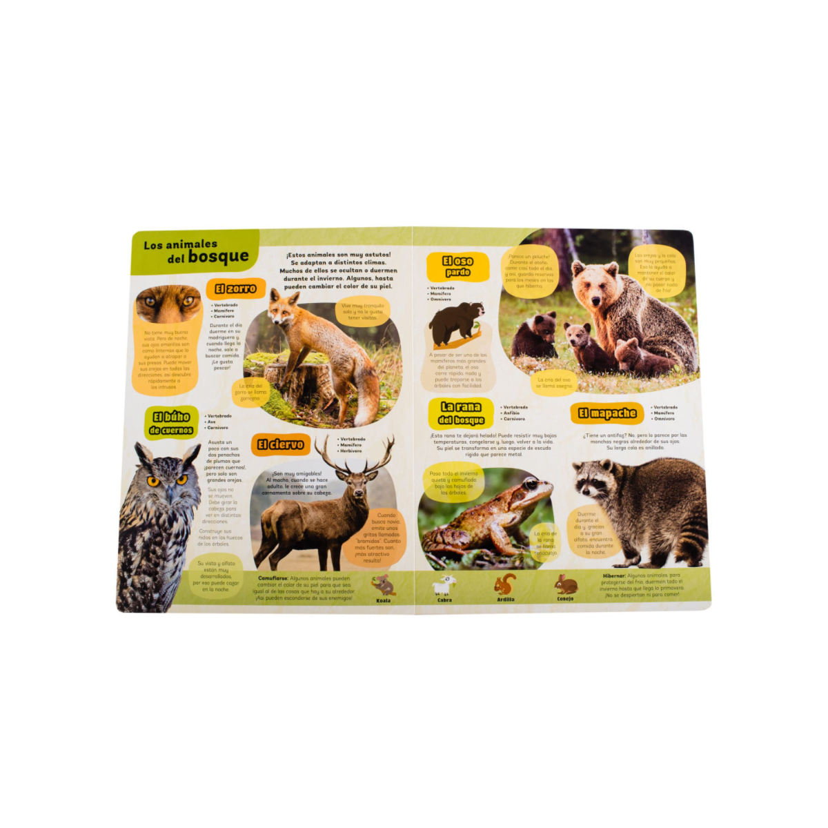 Mi Gran Libro de Animales