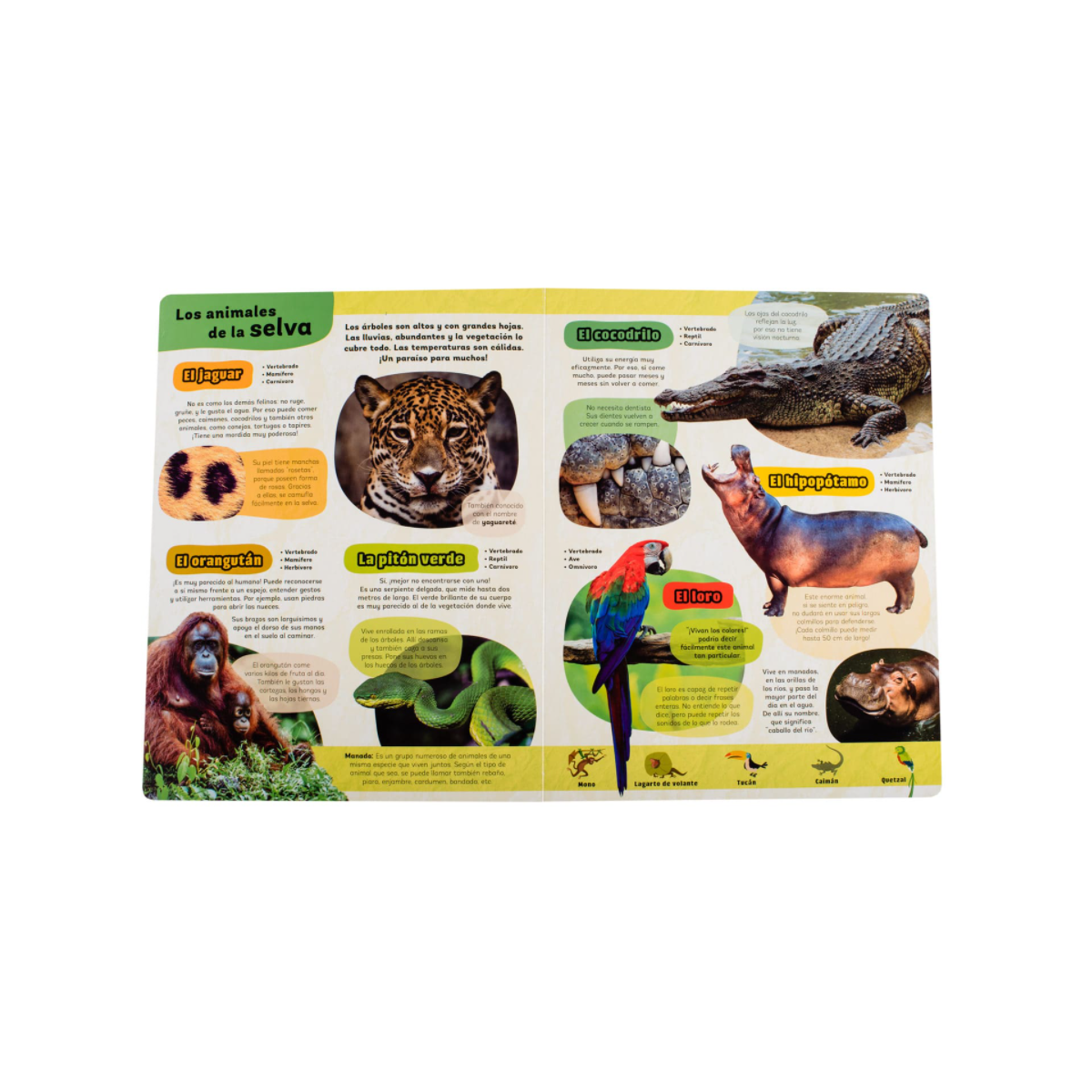 Mi Gran Libro de Animales