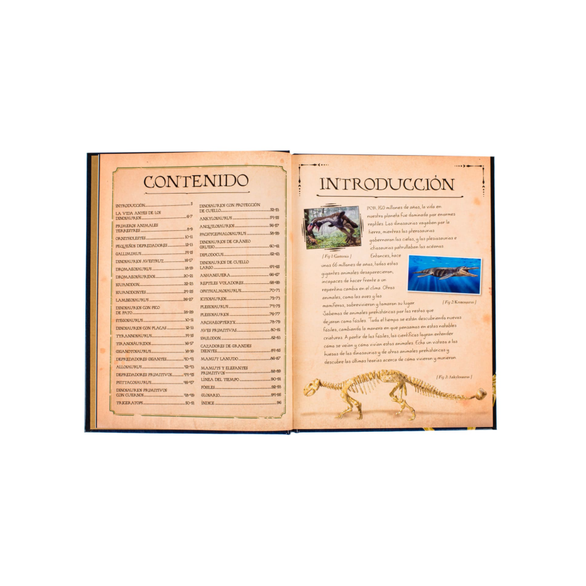 Colección de Huesos de Dinosaurios