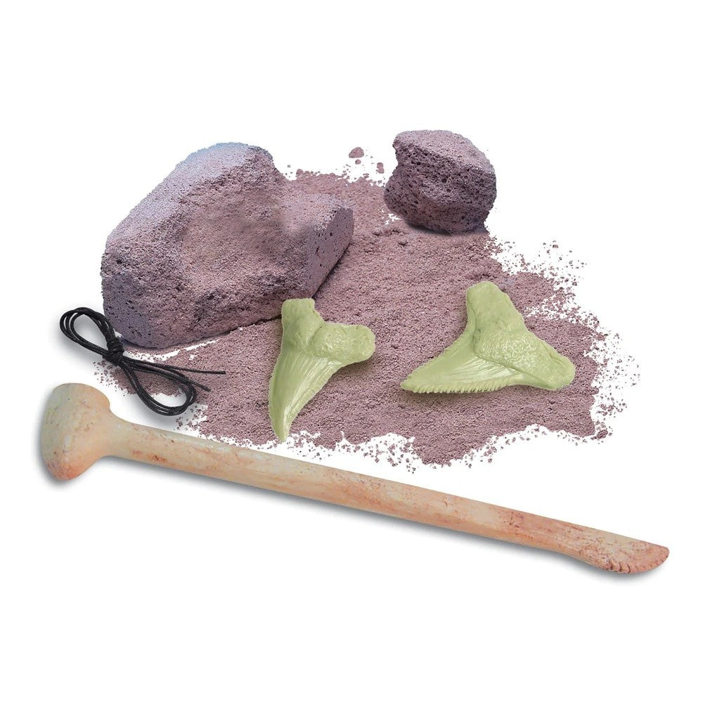 Kit Infantil Fosil de Diente de Tiburon- KidzLabs4m