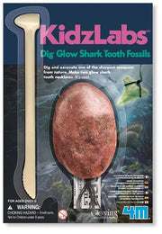 Kit Infantil Fosil de Diente de Tiburon- KidzLabs4m