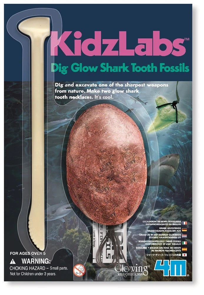Kit Infantil Fosil de Diente de Tiburon- KidzLabs4m