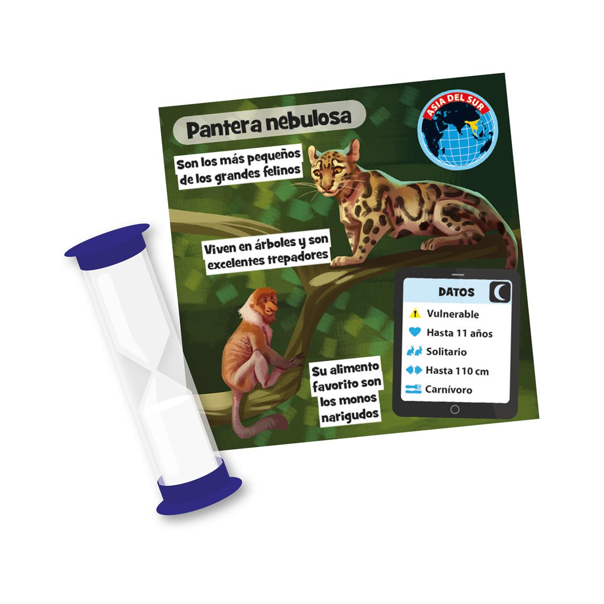 BrainBox Animales