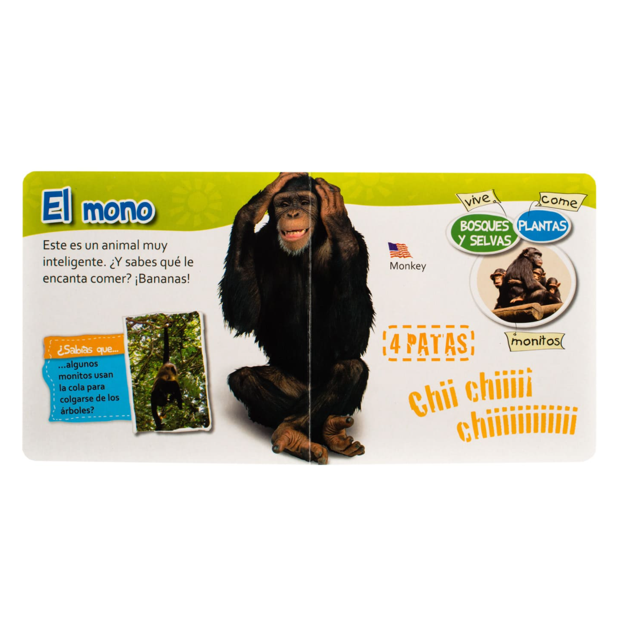 El Zoo de Cartón
