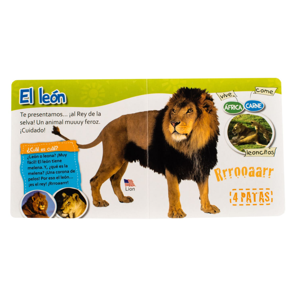 El Zoo de Cartón