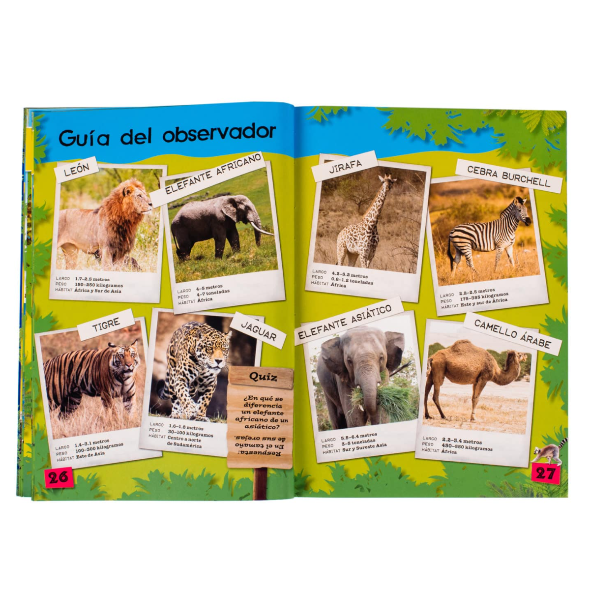 Un Día en el Zoológico