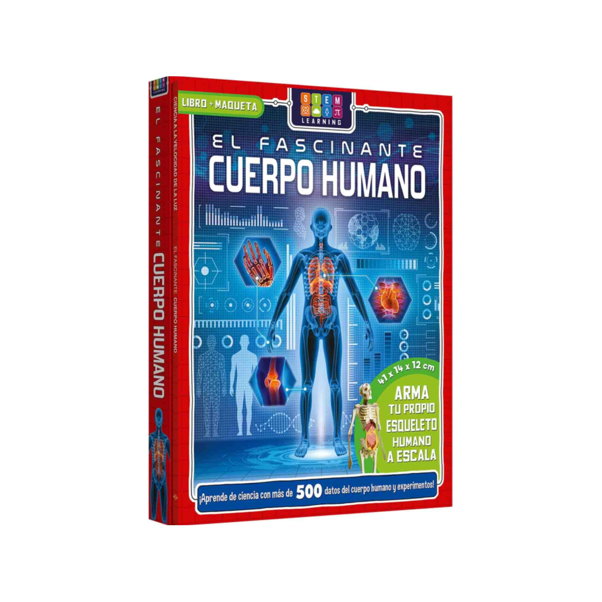El Fascinante Cuerpo Humano + Maqueta