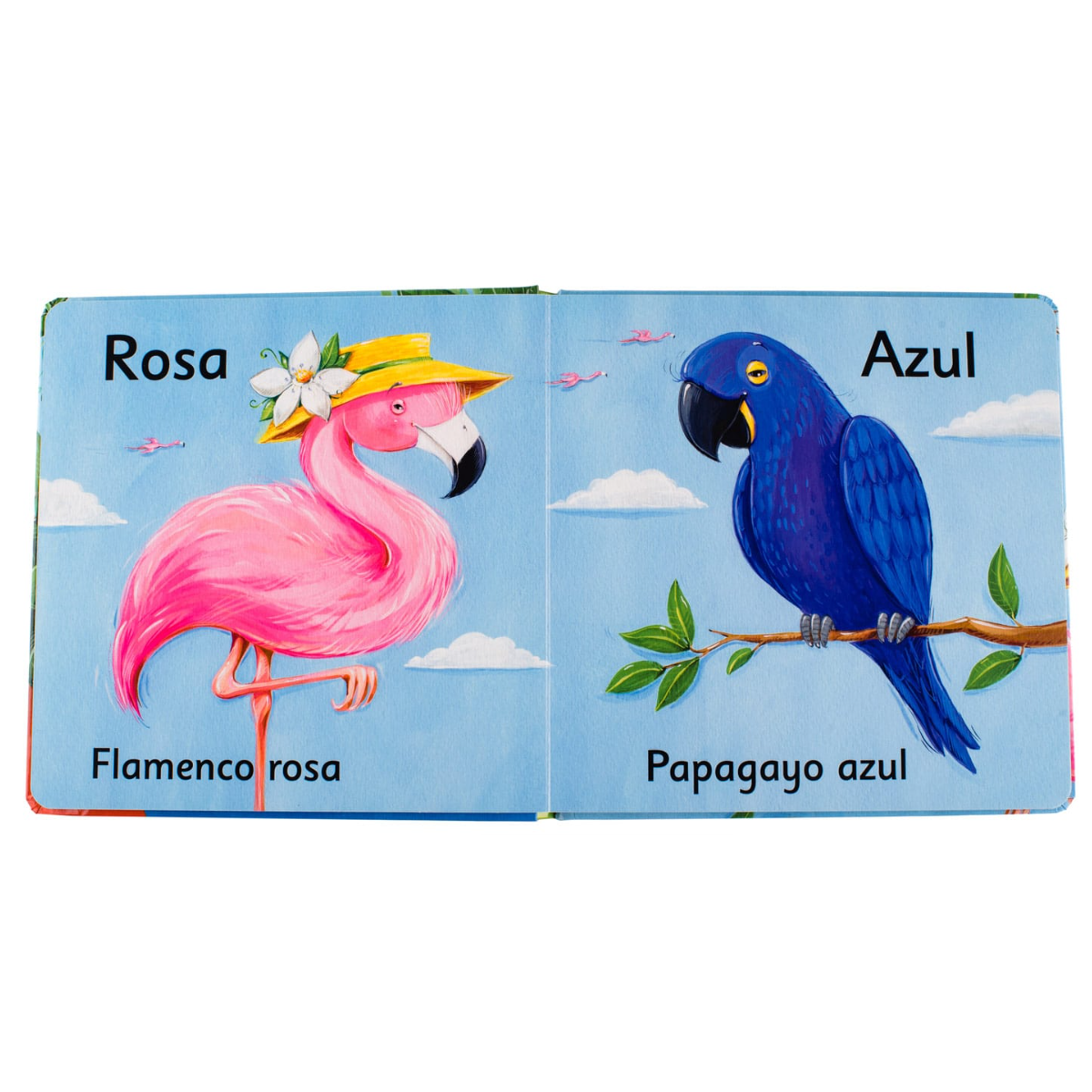 Animales y Colores