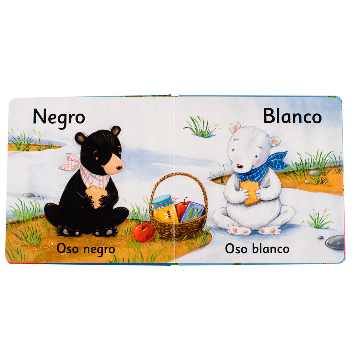 Animales y Colores