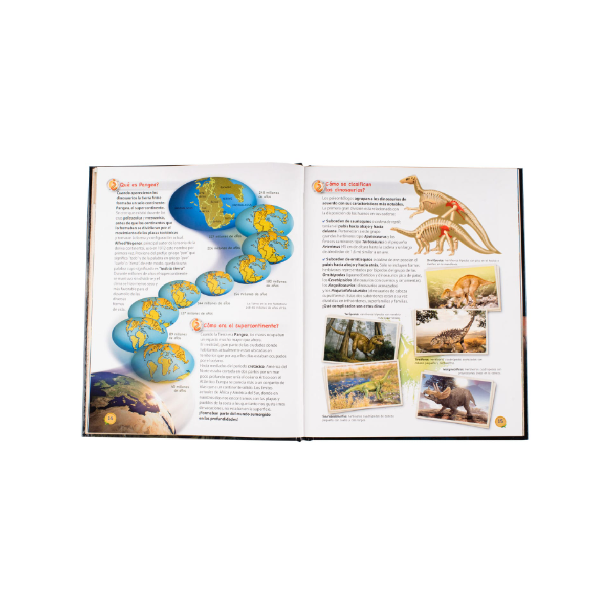Los Dinosaurios de la Prehistoria