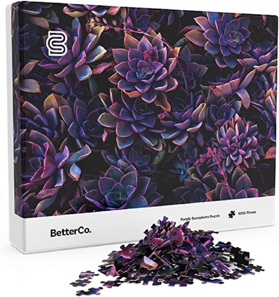 Rompecabezas Suculentas Purpuras 1000 Piezas