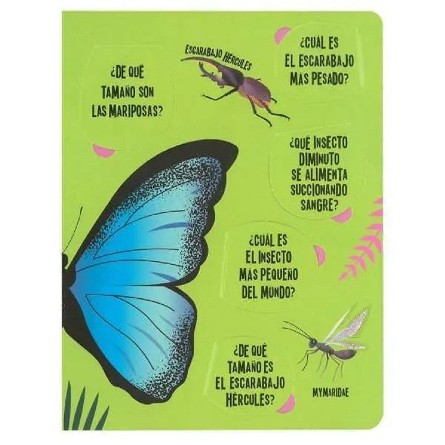 Busca Y Encuentra Con Linterna - Insectos