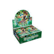 Spell Ruler - Display