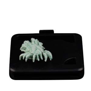 Arkham Horror Monsters: shan