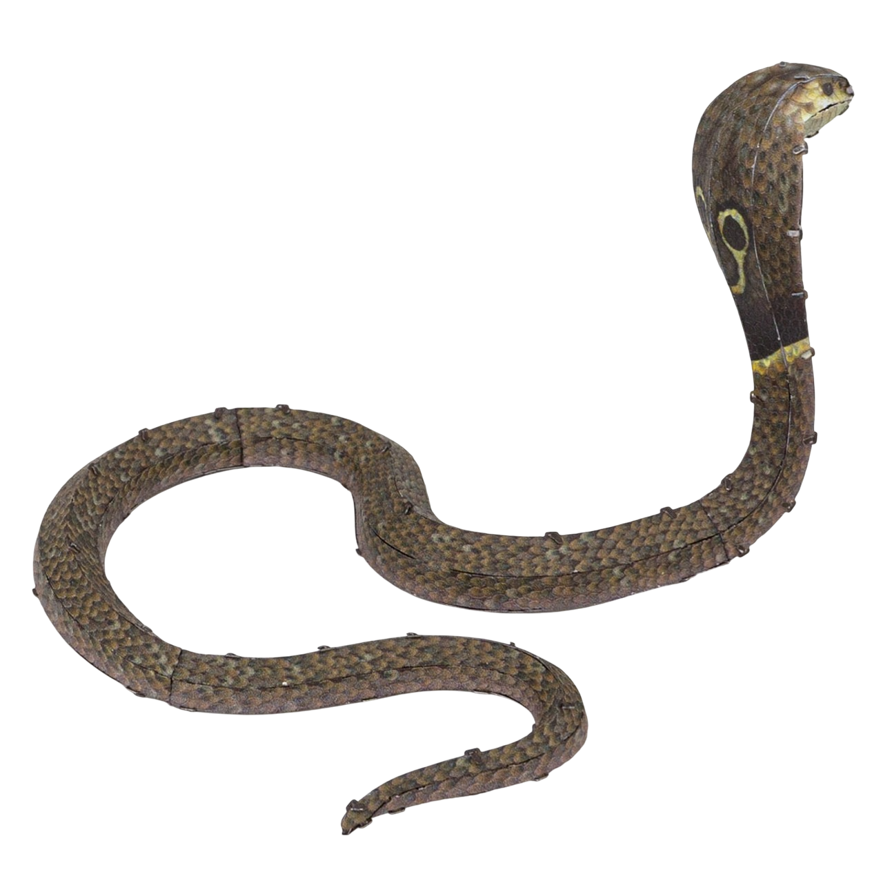 Serpiente Cobra - Para Armar