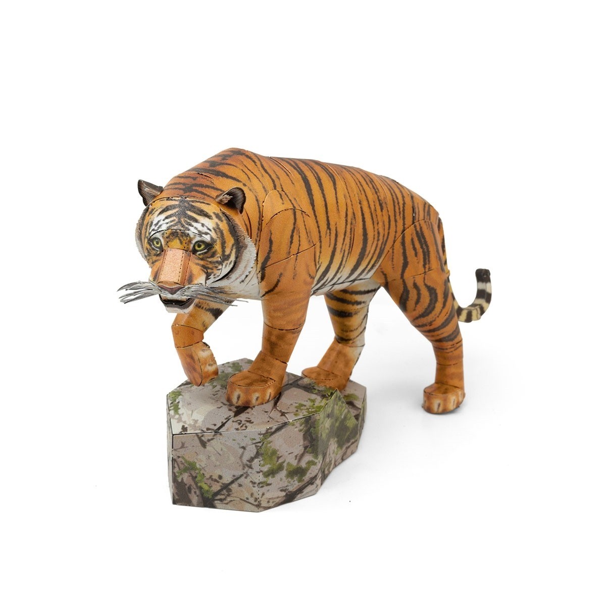 Tigre De Bengala - Para Armar