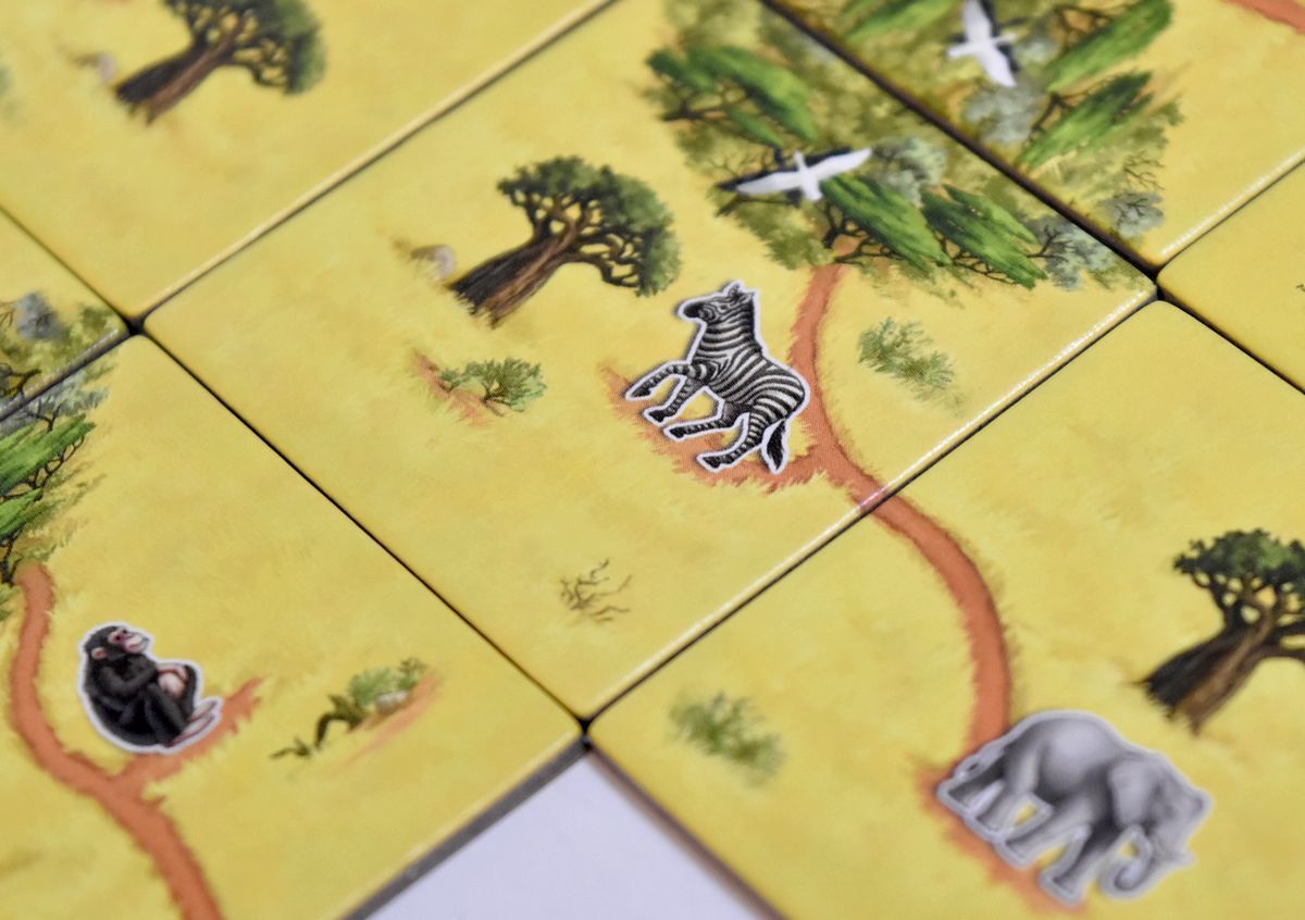 Carcassonne: Safari ENG