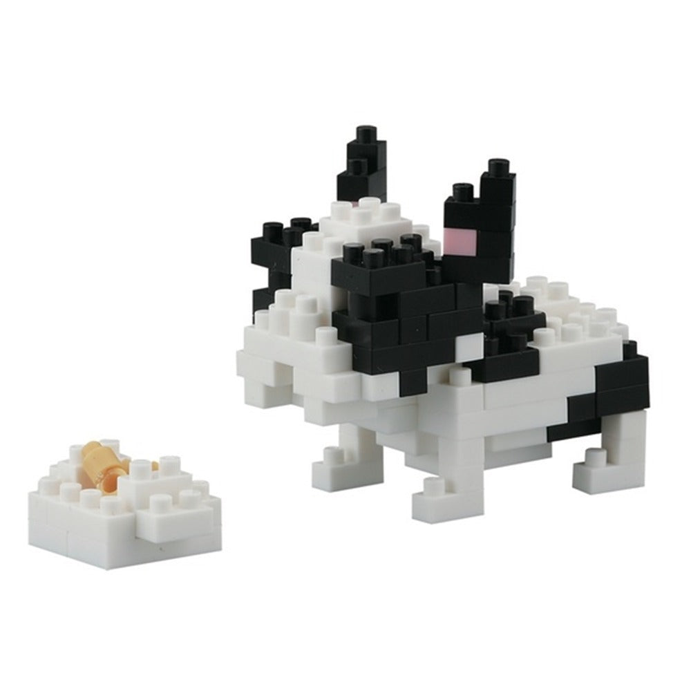 Perro Raza French Bulldog