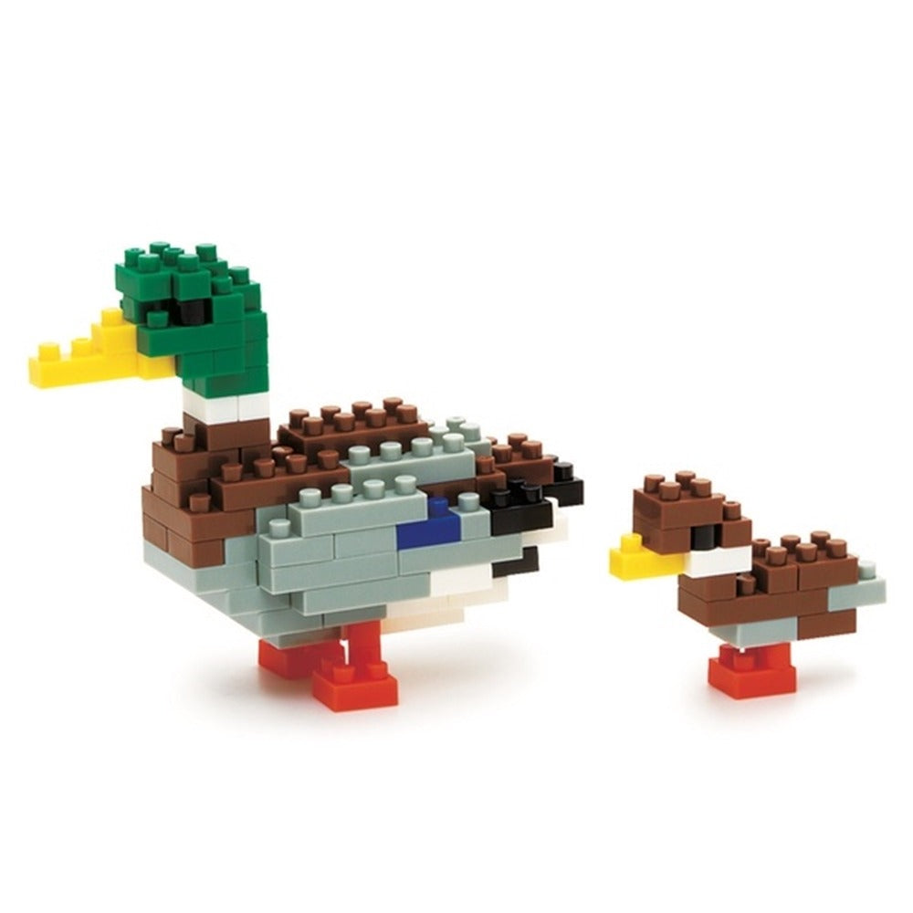 Pato Real
