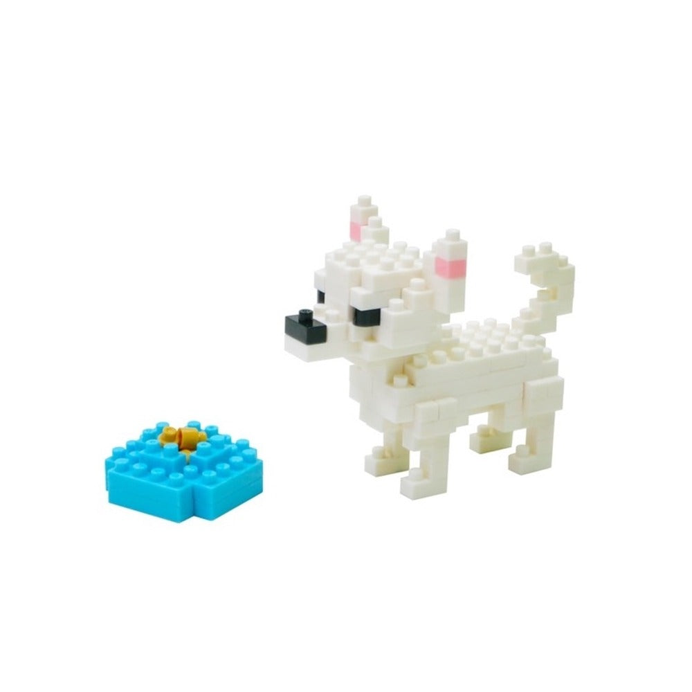 Perro Raza Chihuahua