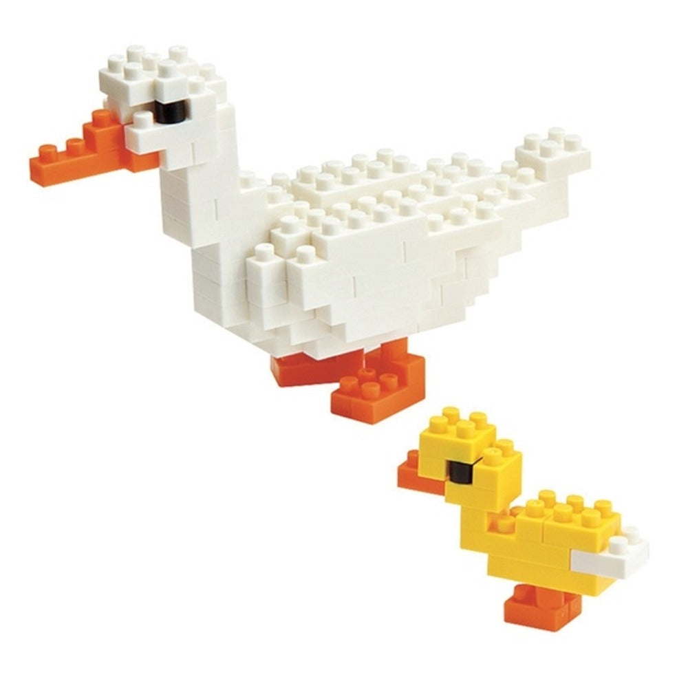 Pato de Granja y su Cría