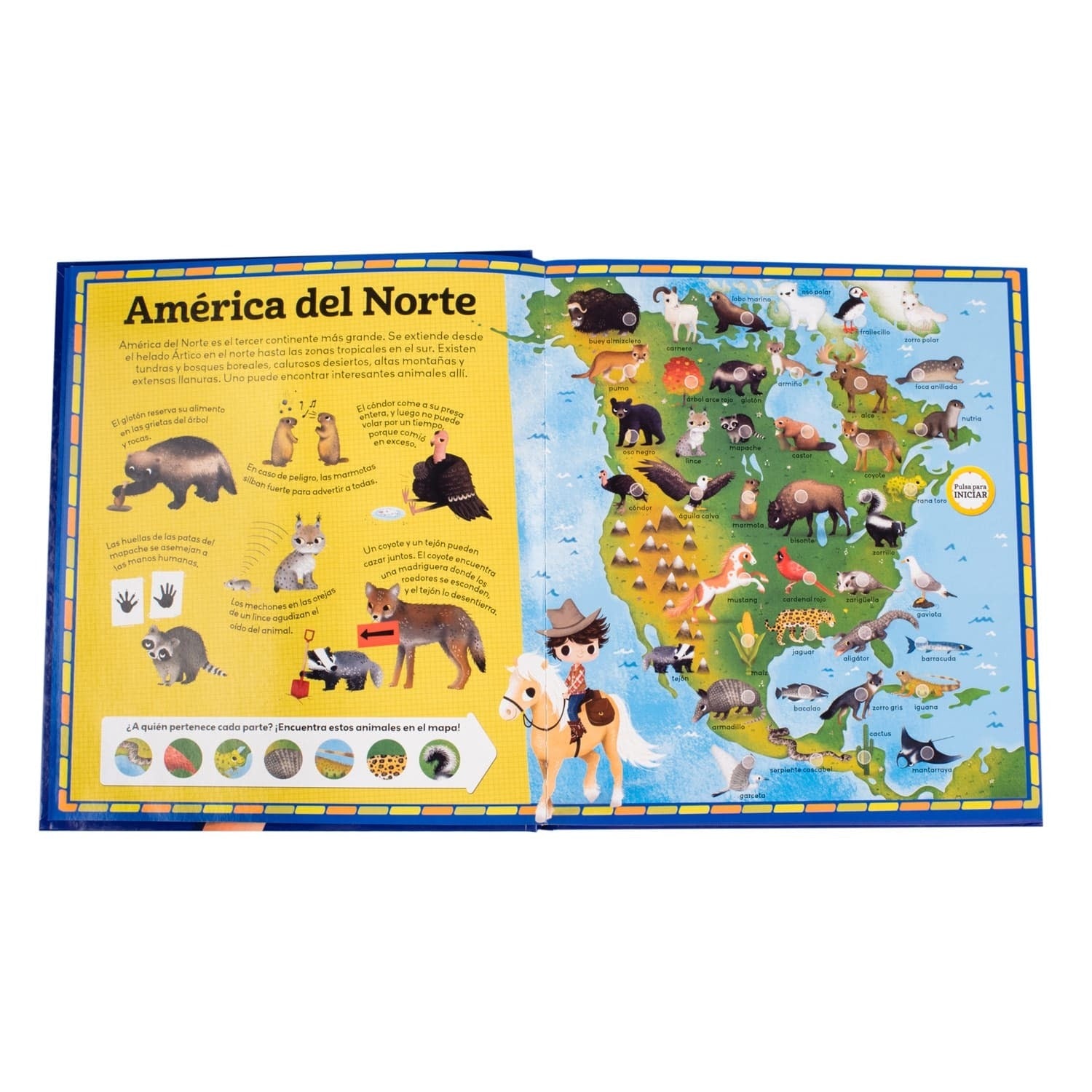 Atlas De Animales Con Sonidos